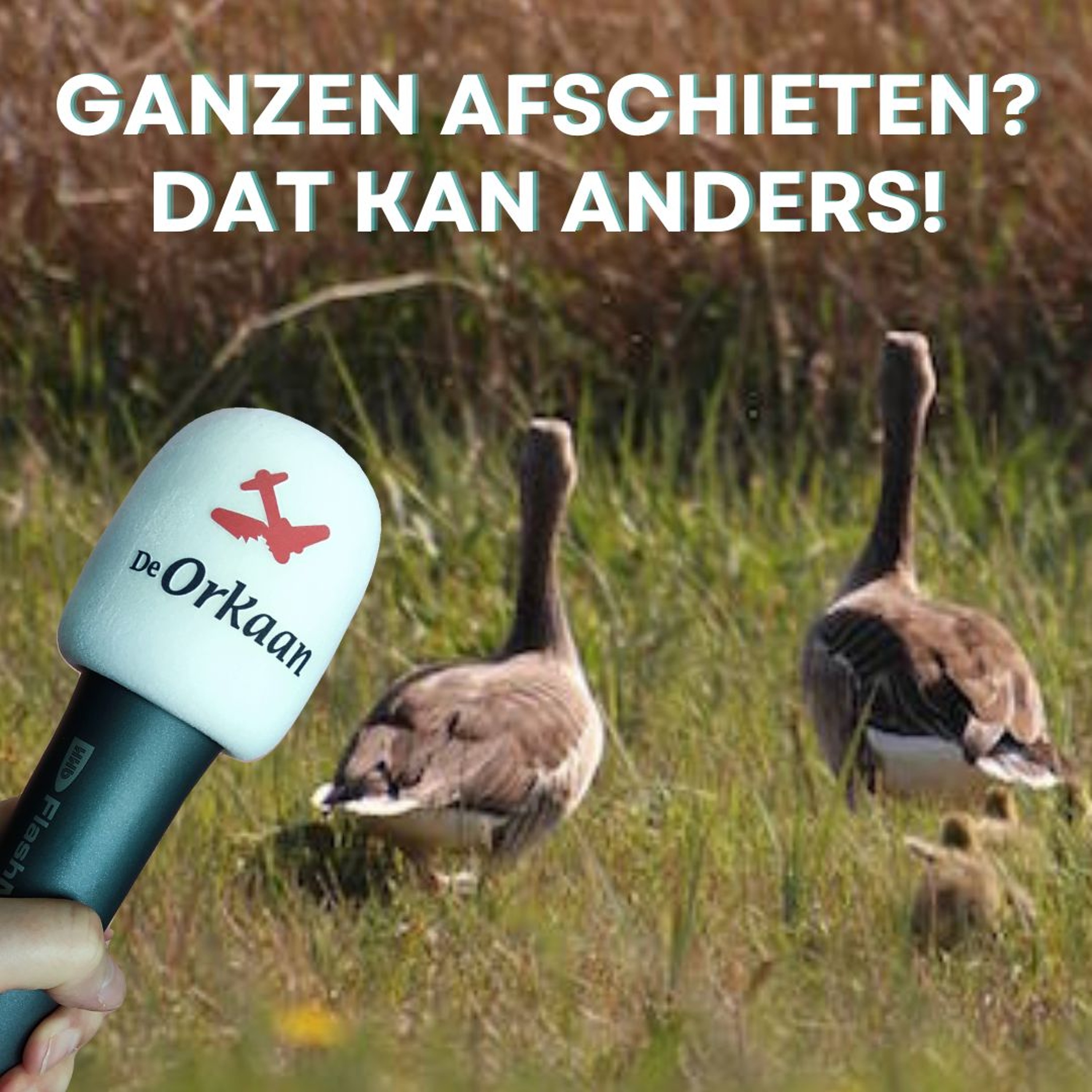 De Orkaan podcast (Zaans nieuws)