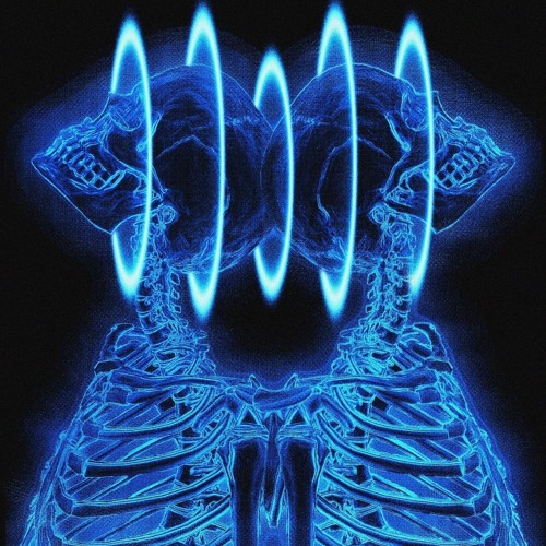 / RECONNECT /
