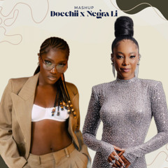 DENIAL IS A RIVER x Você vai estar na minha (Doechii & Negra Li) AriscoDJ