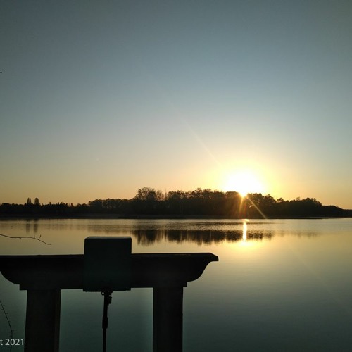 Great Bittern and Red Deer in Brenne, Étang Vieux, France