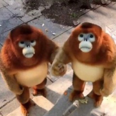 me & u - acoustic flip