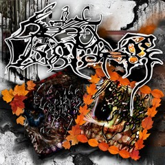 ELY MUFF & GIGI DIAGNOSTICO ✦ kÉz- És LáBtÖrÉst ✦ Gólya