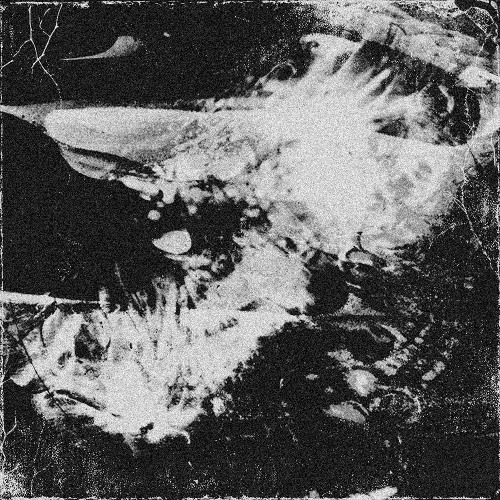 SKRILLEX, HAMDI, TAICHU & OFFAIAH - PUSH [$ZQW REMIX] FREE DL