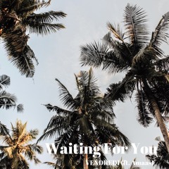 Vendredi - Waiting For You ( Free Download & Free Copyright )