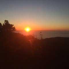 Streichel Einheit (NUB1323fast)