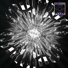 Nuvaman - Flux