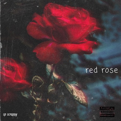 Red Rose