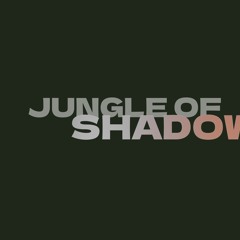 SubLine LIVE on DNBRADIO - Jungle of Shadows