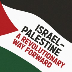 Israel-Palestine: a revolutionary way forward