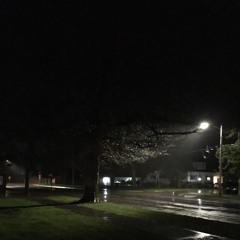 vejviser p. jeunekash