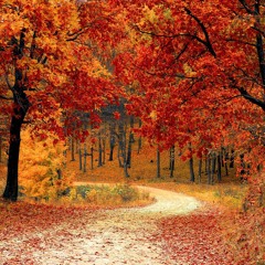 Autumn Session