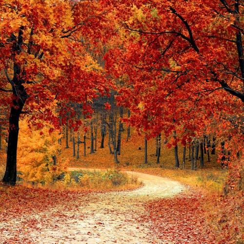 Autumn Session