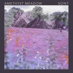 Amethyst Meadow