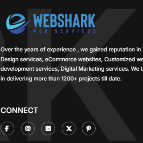Webshark Web Services - Best Web Development Company in UAE