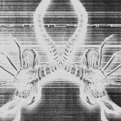 nattl4mpe - vicious predator