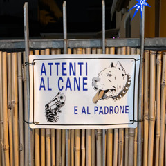 Fear of Dog Radio 001: Electro Special with Ascot/ww 24.03.25