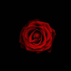 KSE - Rose of Sharing (KSE Instrumental mix cover)