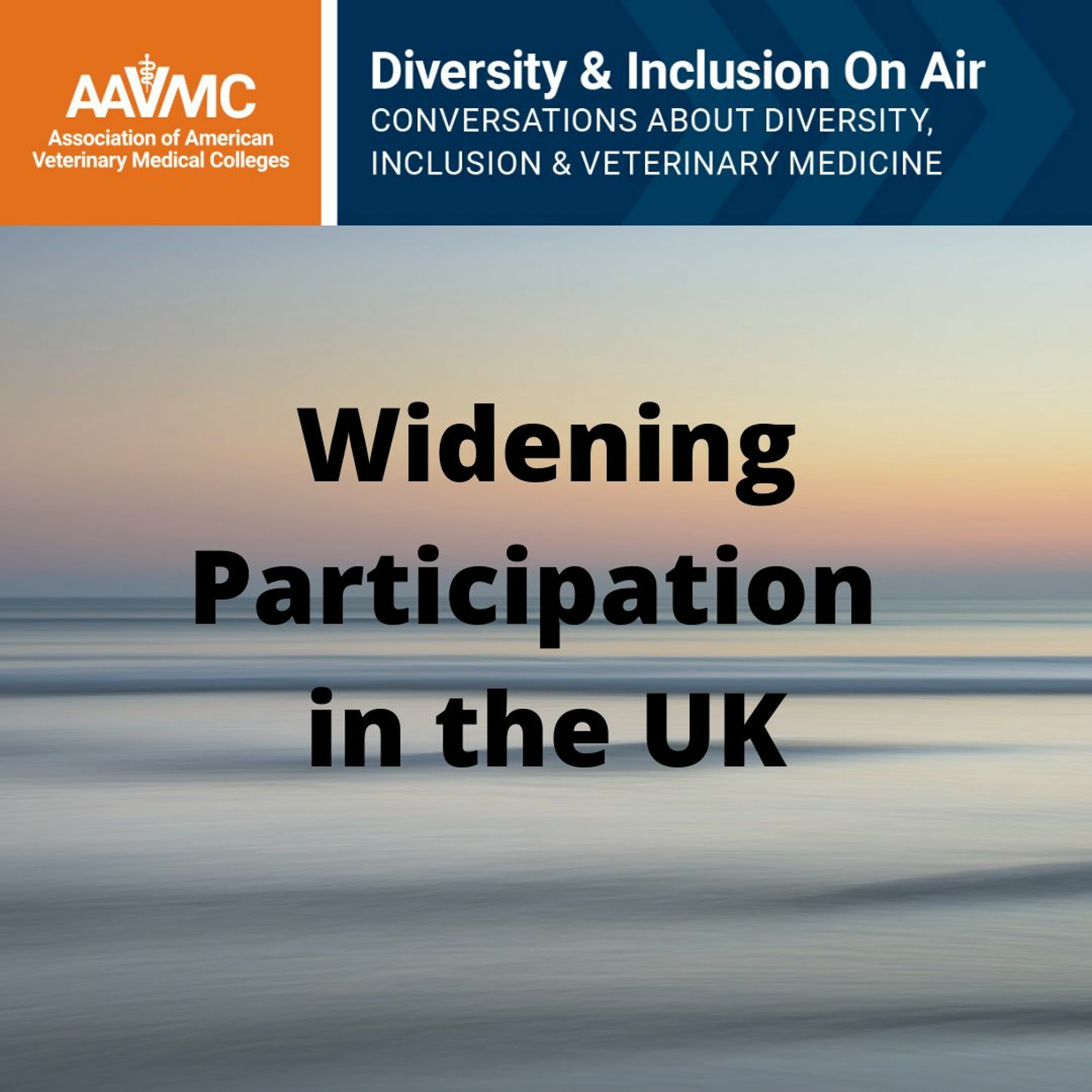 AAVMC\'s On Air: Conversations about Issues in Veterinary Medicine