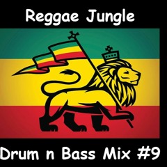 Reggae Jungle Drum and Bass Mix #9 New 2022