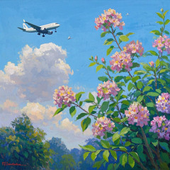 Đang ung dung trên trời đạp mây xanh