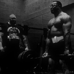 CHEST DAY x Animal I Have Become (Ultra Slowed)
