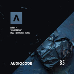 PREMIERE: Berba PT - Madness (Original Mix) [Audiocode Records]