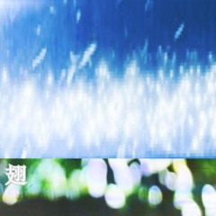 翅