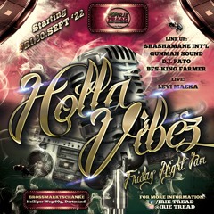 Irie Tread Present  - Holla Vibes  - Shashamane Ls  Gunman Sound Live in Dortmund Pt.1 💥💥2022