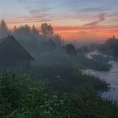 чай с тёплой булочкой