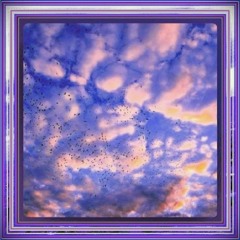 WM🥶#1296🧣🧤🧦🥢🍺🍚🥓🍲🍤🍧☕️👍🏻