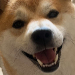 Angele - J'aime Bien