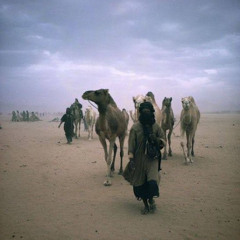 NOMAD  PROD. REEF X PA1N