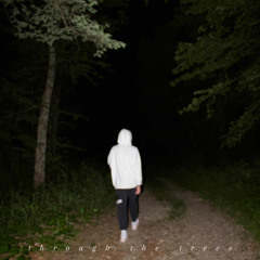 through the trees (prod.iseeshine)