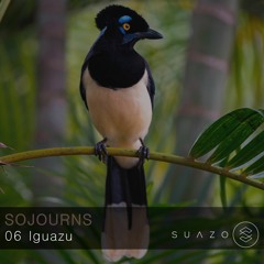 Sojourns 06 - Iguazu