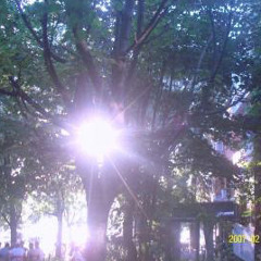 cuando todo era bonito