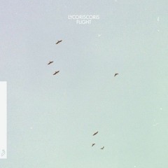 Lycoriscoris - Flight