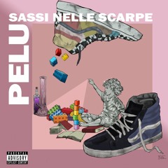 Sassi nelle scarpe