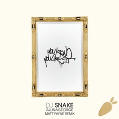 DJ Snake & Aluna George - You Know You Like It (Matt Payne Remix)