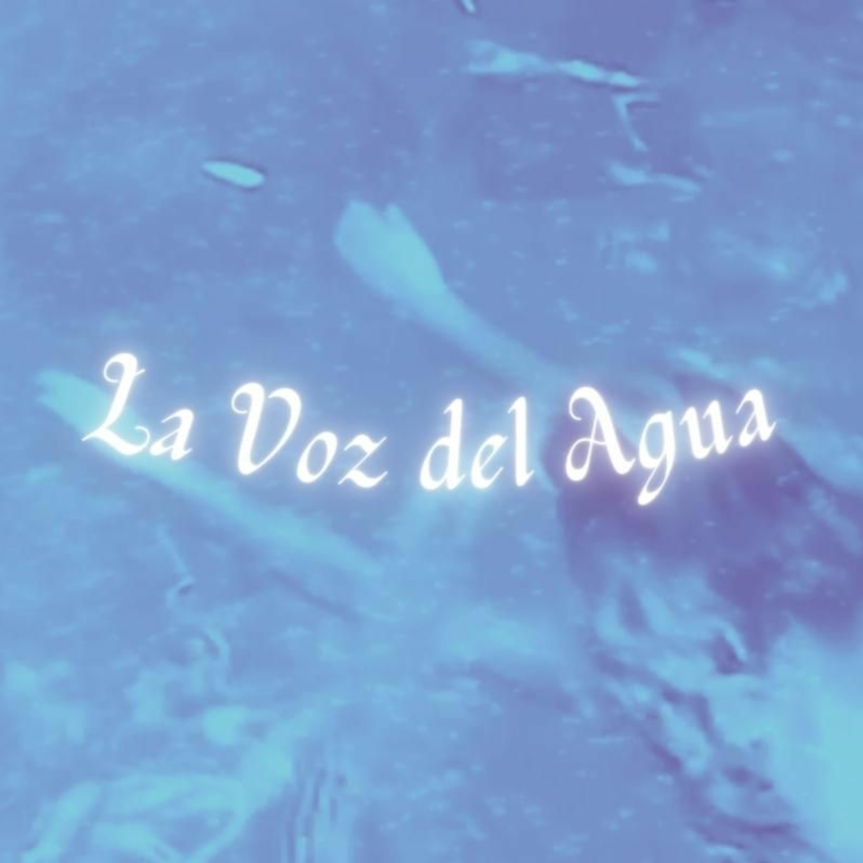 La Voz del Pueblo