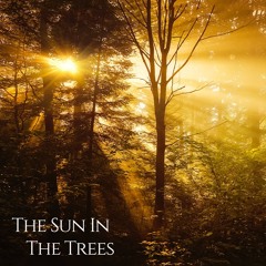 The Sun In The Trees
