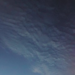 Single Ladies (I can't hear you).mp3