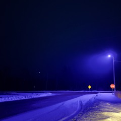 Max Richter - The End Of All Our Exploring