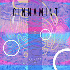 Cinnamint, SolidState 6 at КАТАЛАН 2025