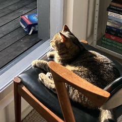 02. ondes hypnotisantes