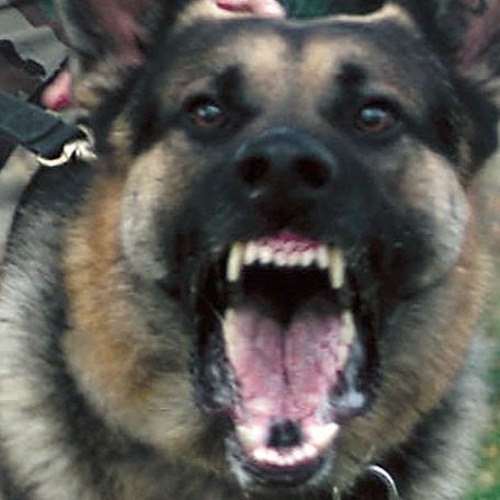 I Was Devastated When I Found Out Machine Girl Was A Boy, Then I Remembered Gender Is A Construct