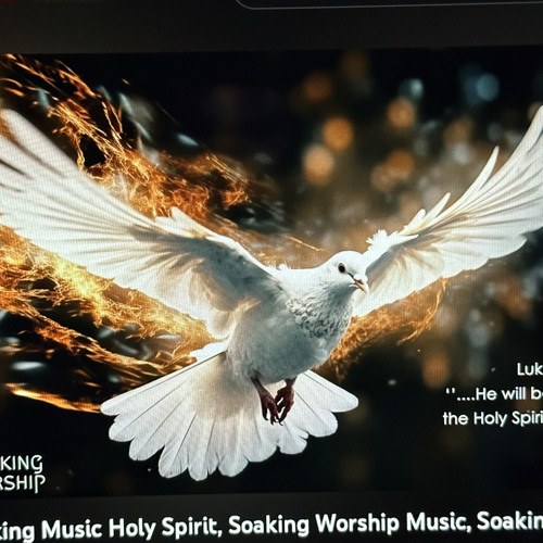 $$$ TRUST IN JESUS $$$