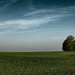 Field (disquiet0509)