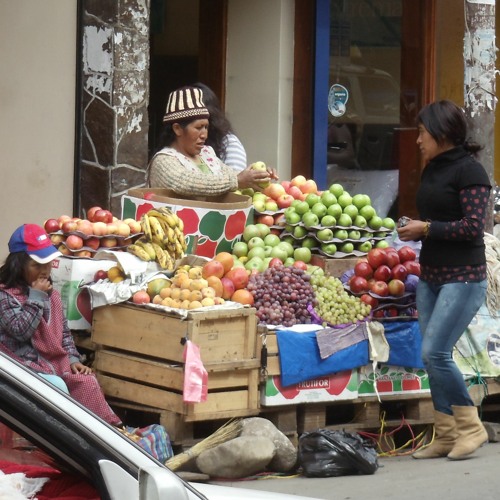 Routes & Branches & Beyond show # 293 2023 09 28