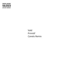 VALD - Primitif - Canelo Remix