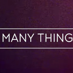 2ManyThings - Gwen Bunn (DUBB FLIP)